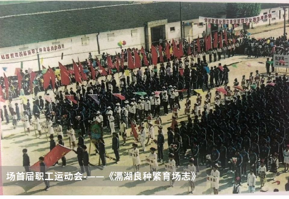 常州西太湖变迁,常州西太湖和滆湖公园有什么区别