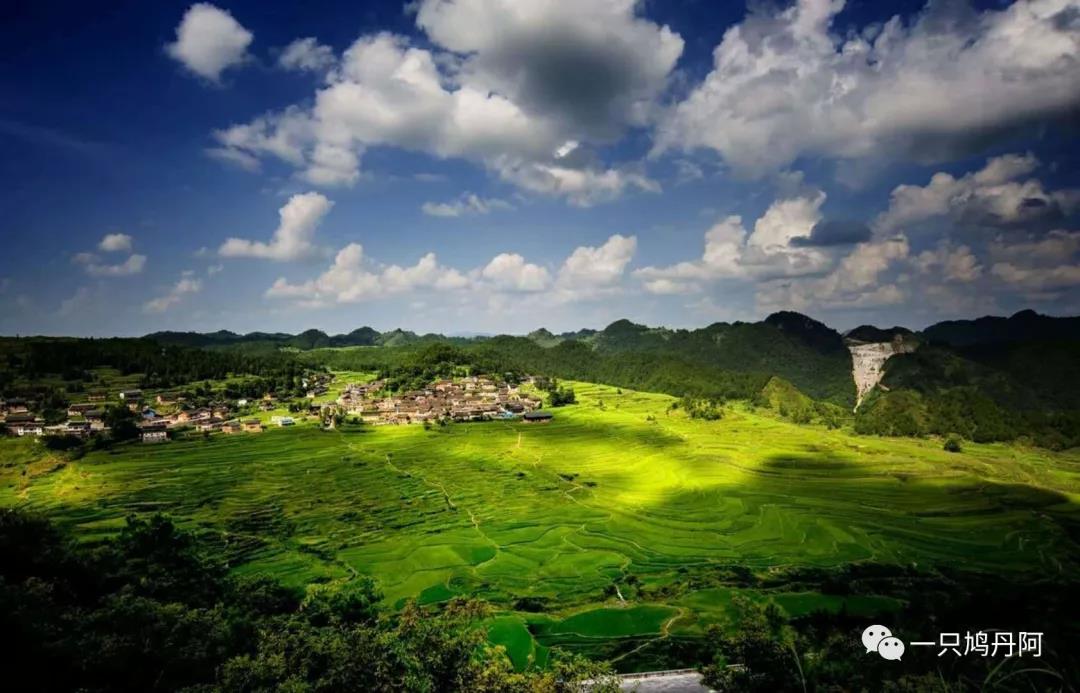 苗族百鸟衣搭配,百鸟衣苗族的介绍