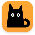 跟着我们猫狗大联盟，你会有喵的！黄阿姨猫咪领养专场