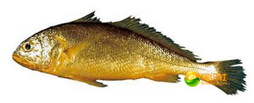 舟山海鲜攻略2天3晚吃什么,舟山海鲜代加工攻略