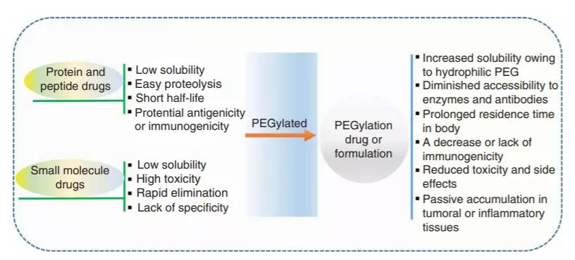 生物药物分析网课,生物药物分析和化学药物分析区别