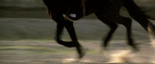 中国最早的第一部功夫片,80年真实少林寺功夫片