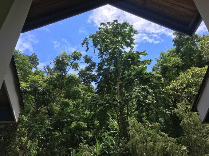 云南不止有风花雪月的苍山洱海,去西双版纳感受傣族民族风情