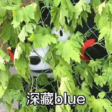 点开朋友的qq空间显示情侣空间,点开女生qq头像对方知道吗