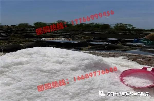 海南儋州丰华和家园备案价,儋州市丰华家和园商铺房价