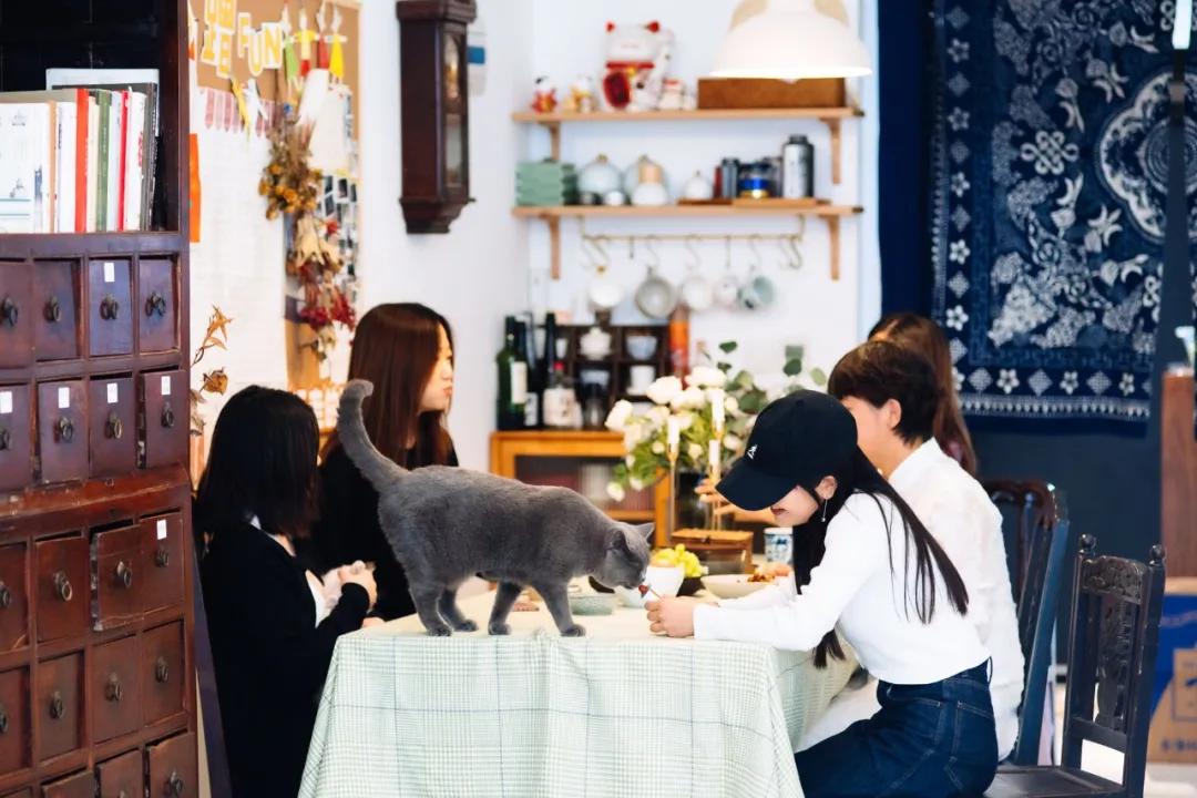 亚洲最好的共享公寓,高档共享公寓