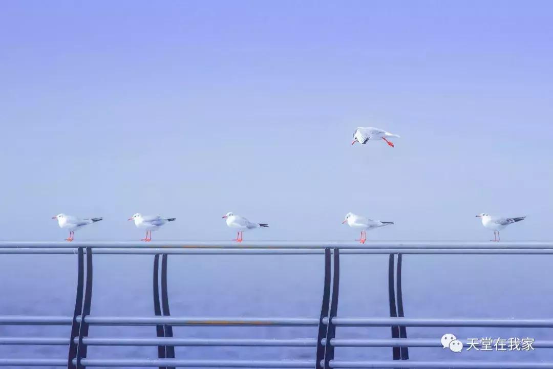 走出男人的气质跟风度,走出男人风范