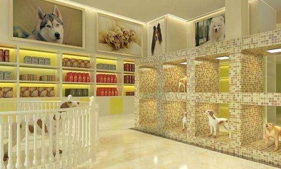 十个经典的推销案例,卖狗的技巧和方法