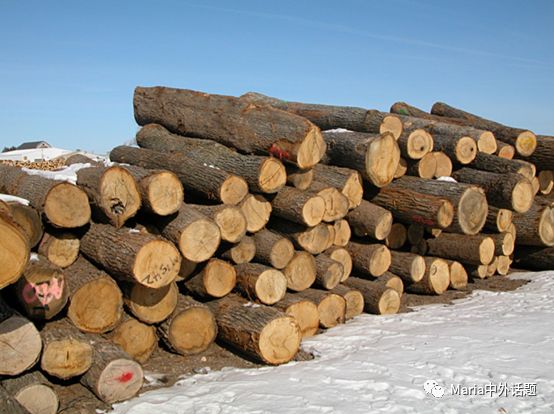 美国硬木干货价格,北美硬木排行