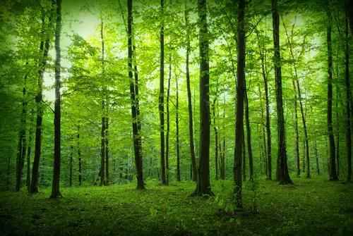 新型冠状病毒下的机遇,新型冠状病毒来袭