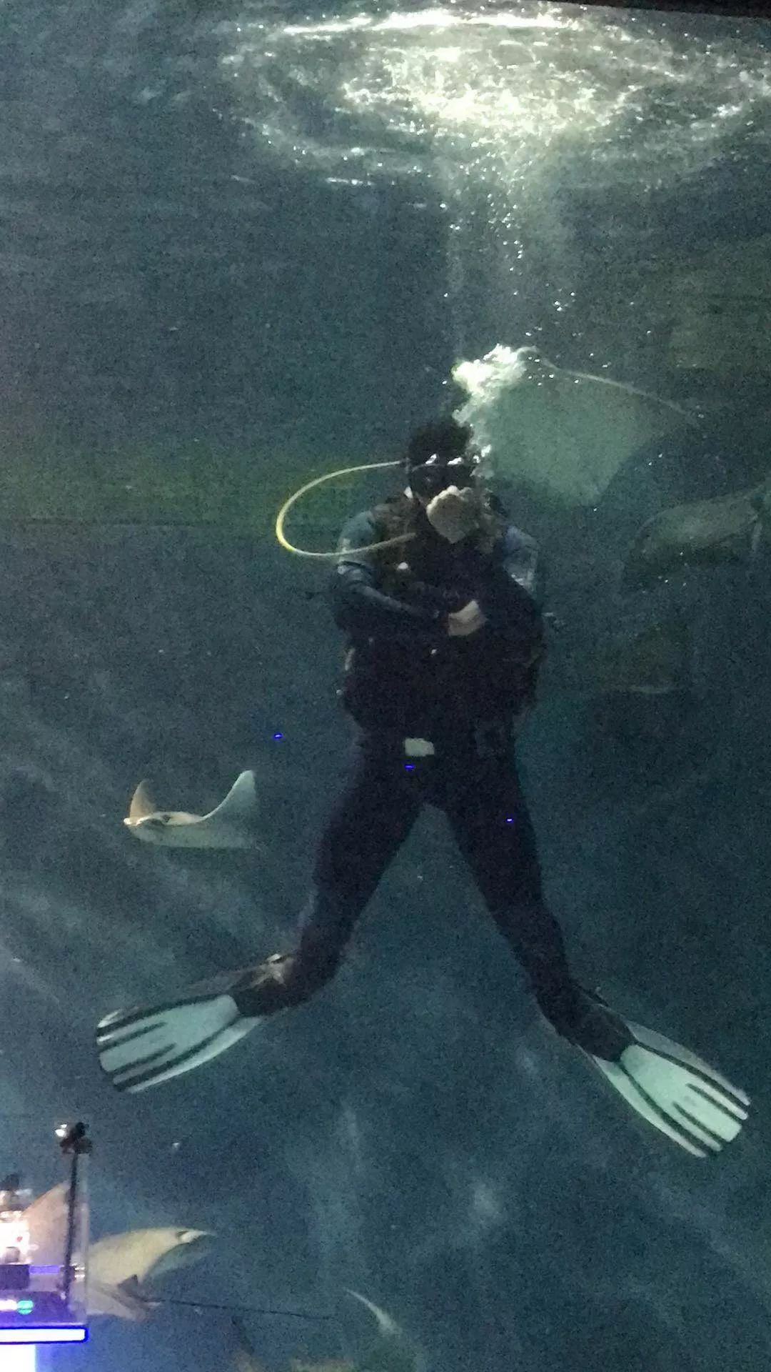 沛纳海潜水表哪个系列好,沛纳海潜水表评价