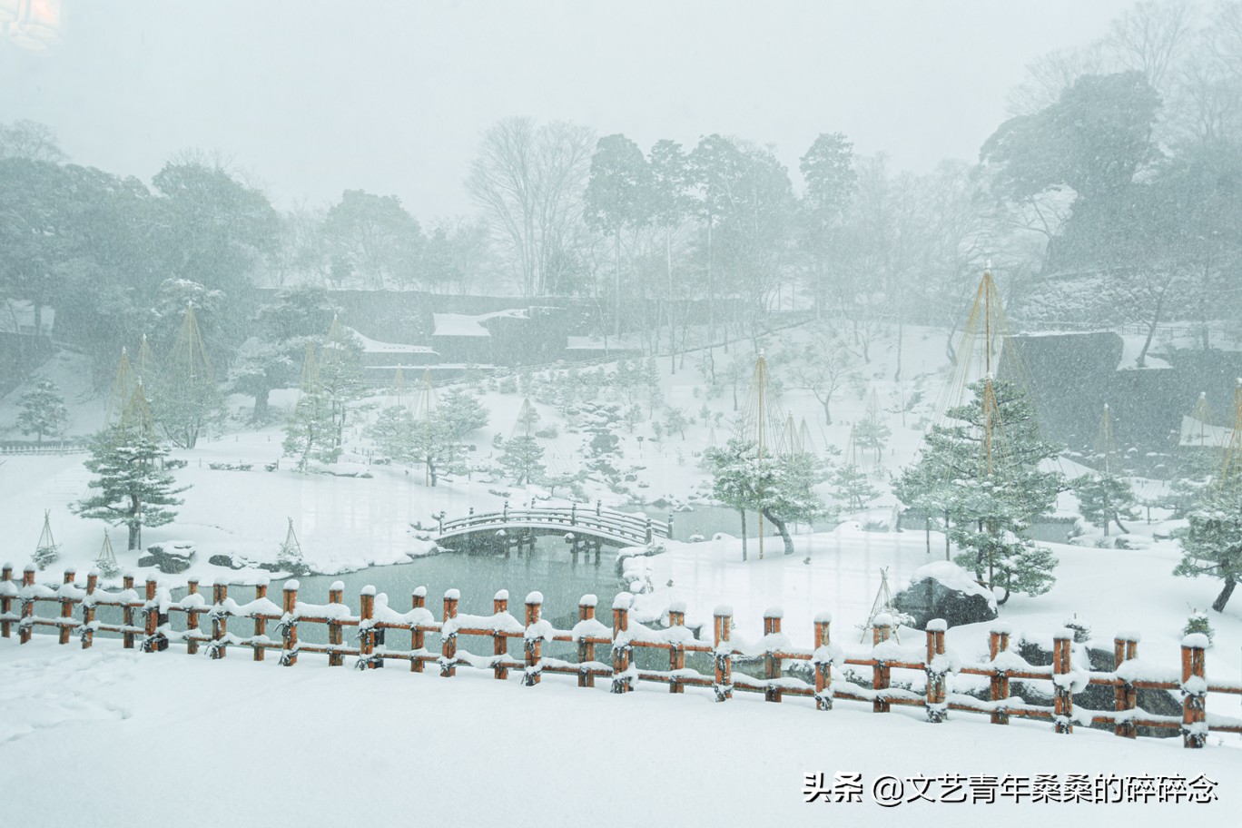 冬季日本的自驾游攻略,冬日游日本名古屋攻略