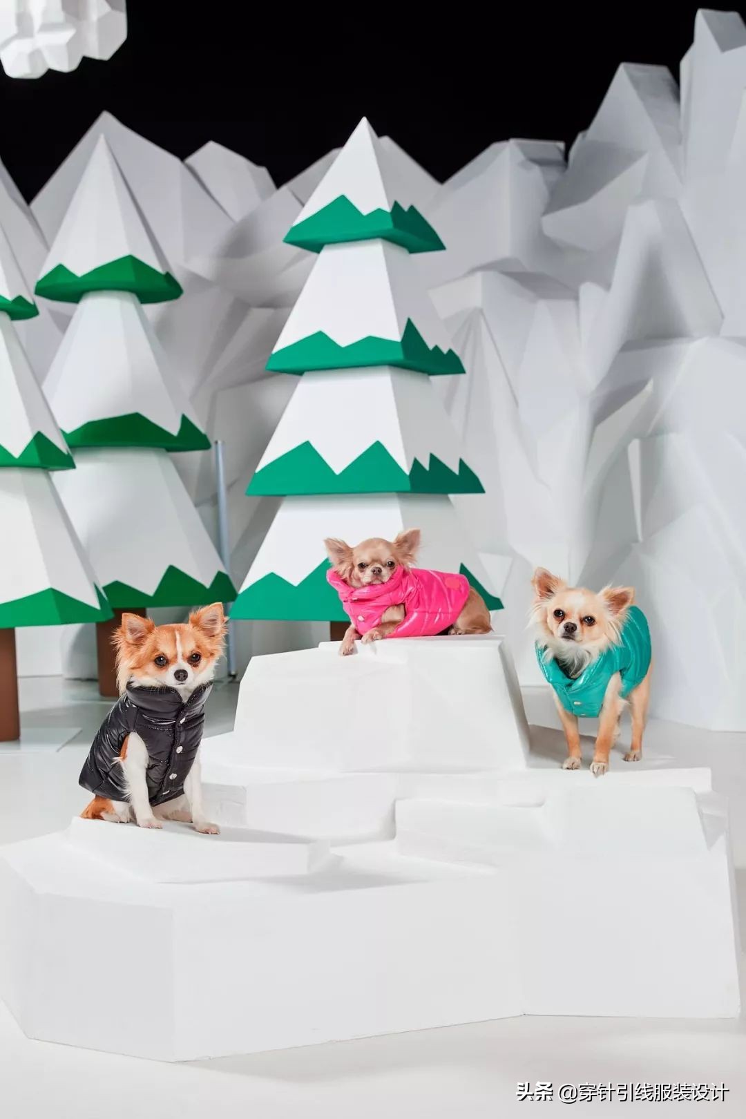 逆天羽绒服设计,moncler羽绒服成毅同款