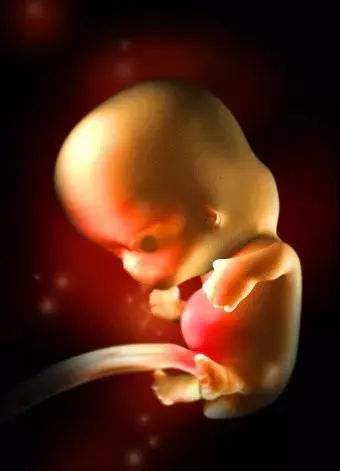 怀孕25天做了胸透宝宝能要吗,怀孕两个月做了胸透内检还能要吗