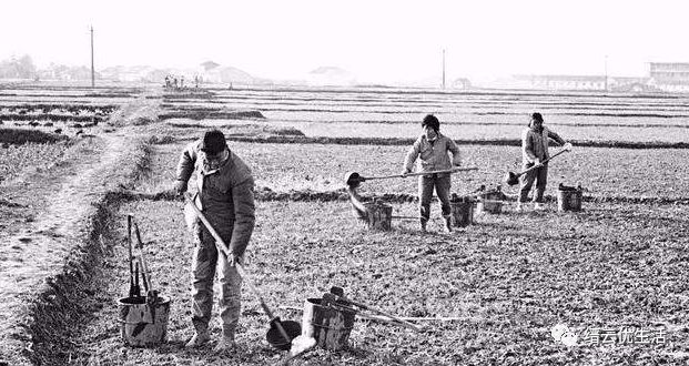 缙云人物小记——我所认识的吕传德