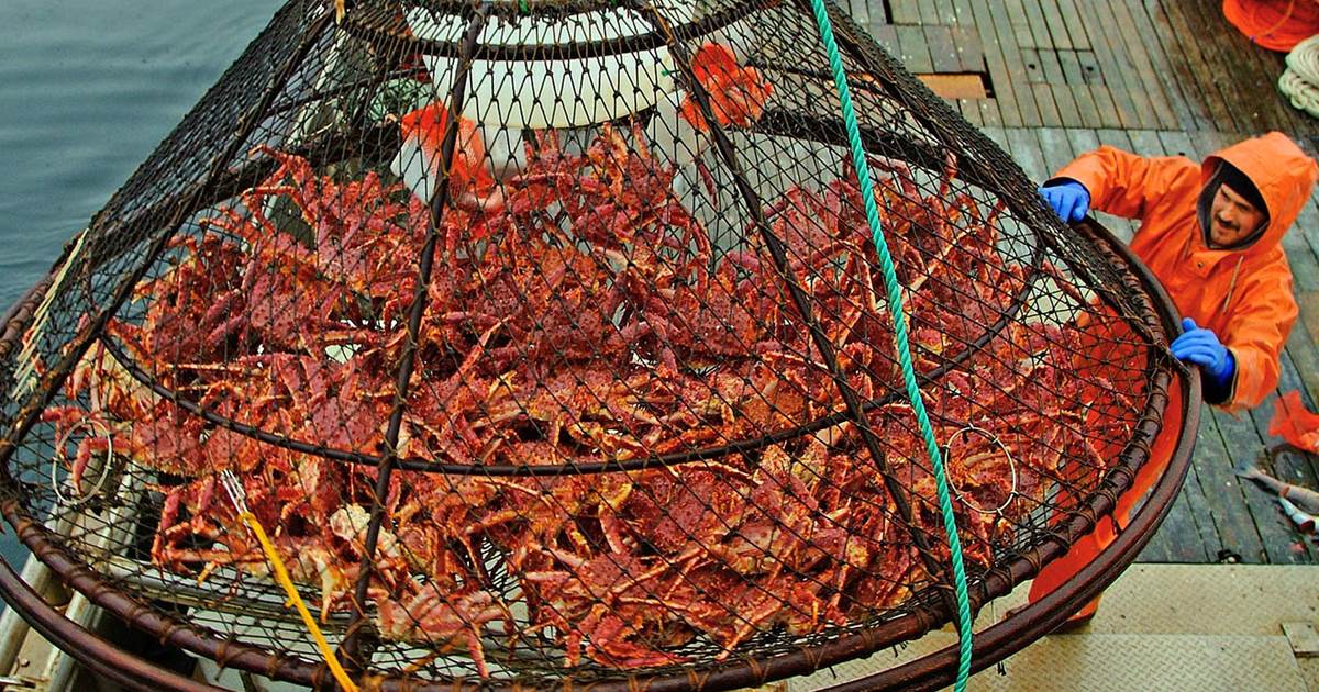 一周净赚30000美元！职业捕蟹人，每次出海都是一次搏命之旅