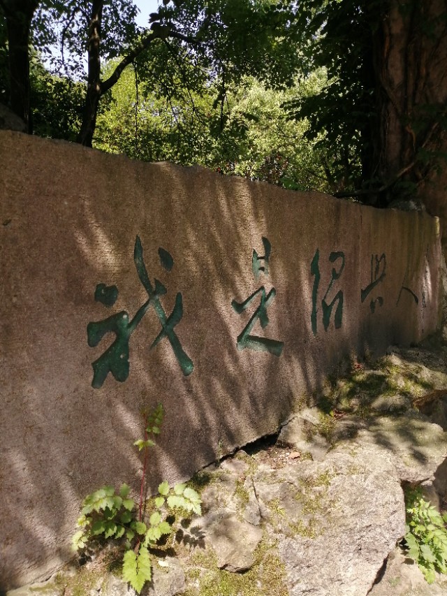 周恩来说：我是绍兴人