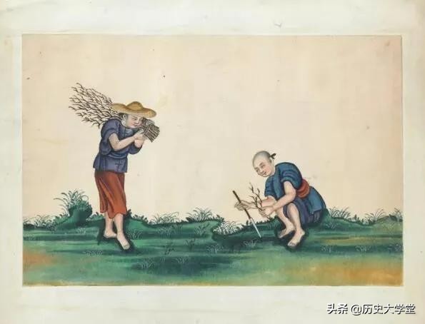 清朝的茶叶为什么是贸易品,清朝时期的茶叶贸易政策