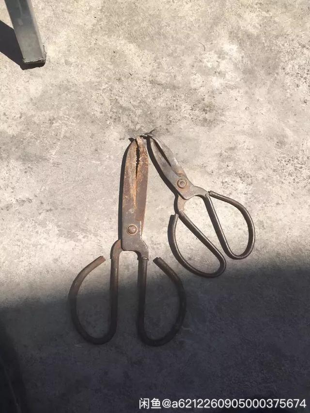 钓黄鳝的视频最新,如何正确的钓黄鳝