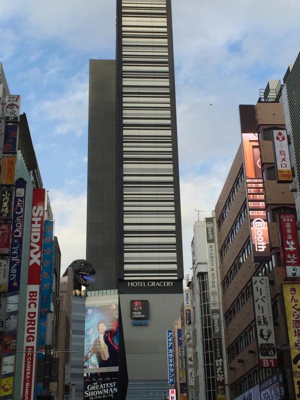 日本东京单人自由行攻略,如何计划日本旅游