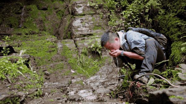 吃毒菇、睡蛇窝，只为挖一堆草，这个重庆博士要做当代神农