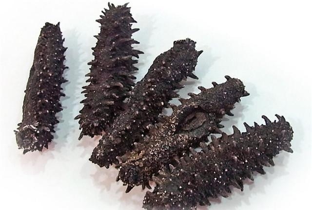 什么样的海参才是最好的,发好的海参什么样子是好海参