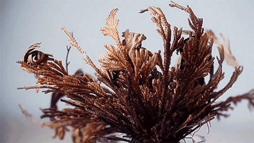 入秋第一盒面膜,今年最后一片面膜推荐