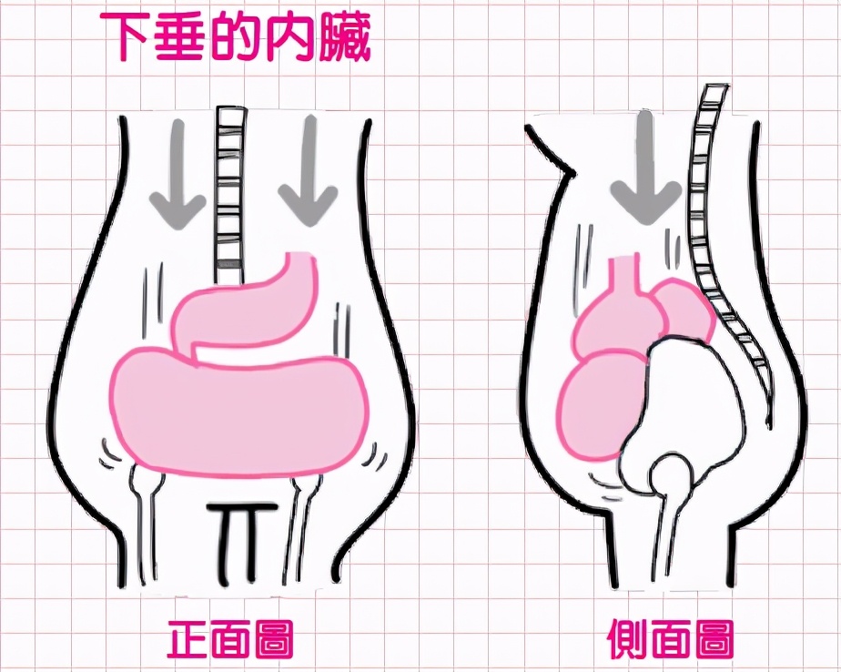每天做平板支撑可以锻炼出腹肌吗,平板支撑为啥能锻炼腹肌