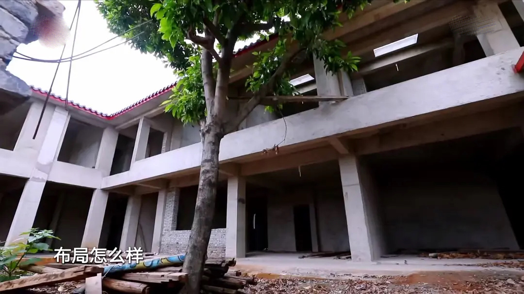 5位单身阿姨，抱团买房养老，520平189W装成山间别墅