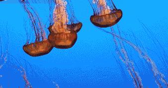 地球5年后的大灾难,地球病了会好起来吗