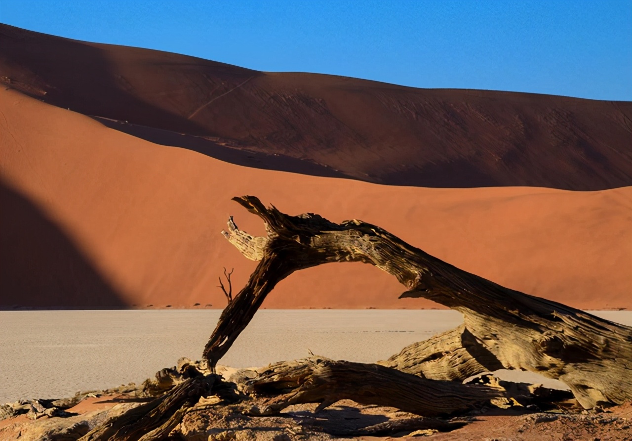 十个世界上最危险的禁区,世界五大公认生命禁区