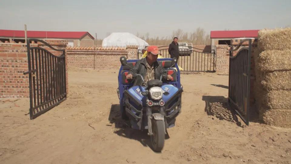 【同心奔小康】小八仙筒村：牛人·牛事·牛日子