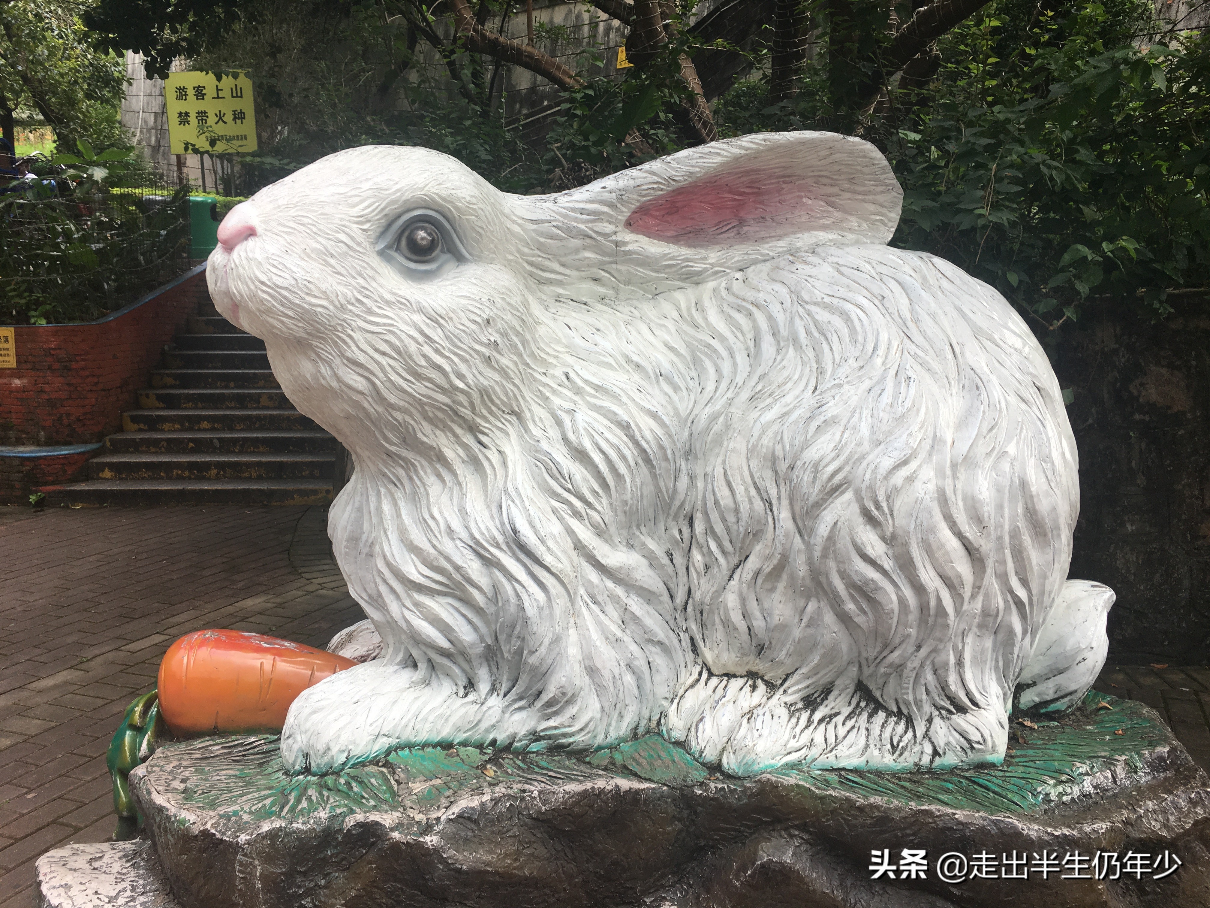 淘金山求水山徒步线路,从求水山公园怎样进入淘金山绿道