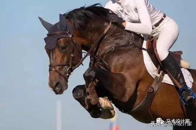 台湾养马场,台湾新竹马场