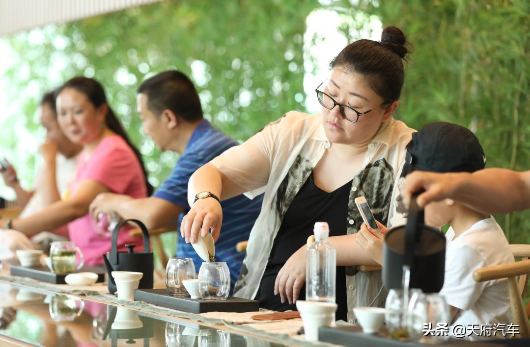 狮意生活,东风标致508l驾趣和驾控版