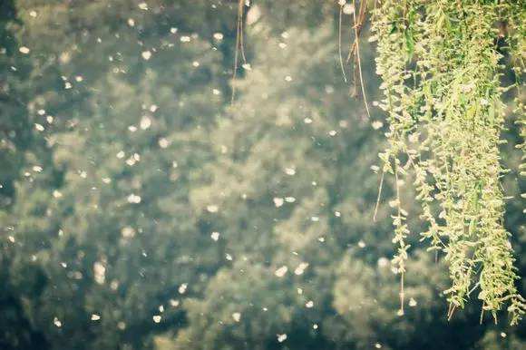 高考实用类文本阅读方法与例题,高考论述类文本阅读知识点总结