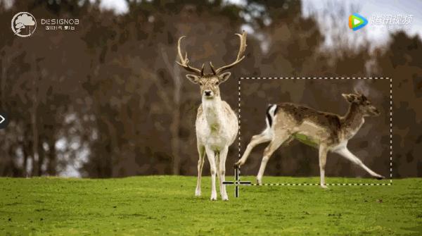 adobe2020版本带着更全面的功能,adobe2023全新正式版本