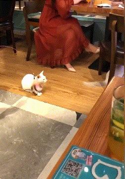 把车标全部抠掉违法吗,把车标抠下来清灰