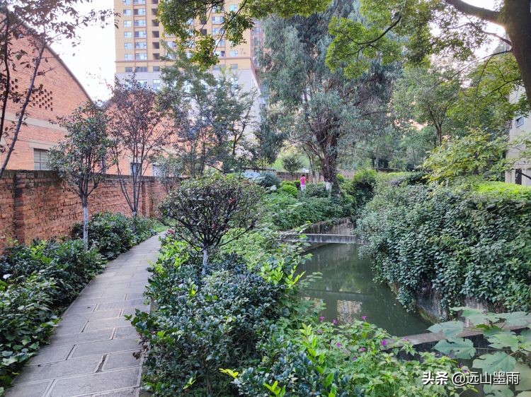 绿树成荫林荫小道,绿树成荫的小路视频