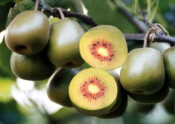 农业农村部最新农情调查显示,农情快报最新视频