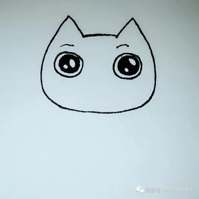 我是可爱小猫咪视频,我是一只可爱的小猫咪