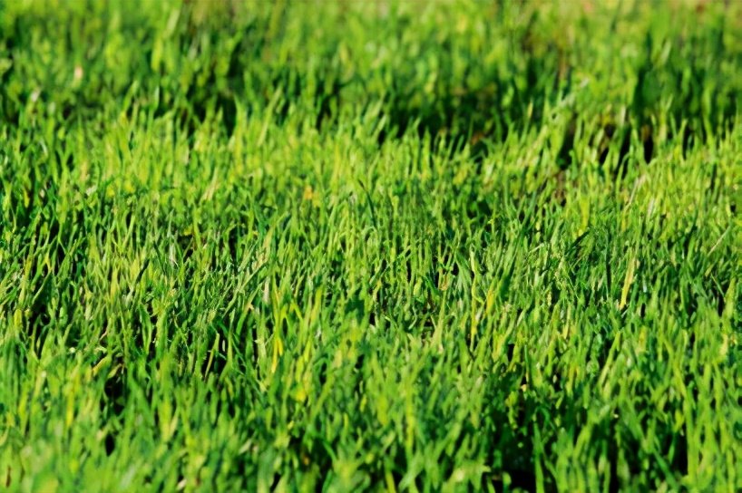 彩虹光伏玻璃有限公司,合肥彩虹光伏官网