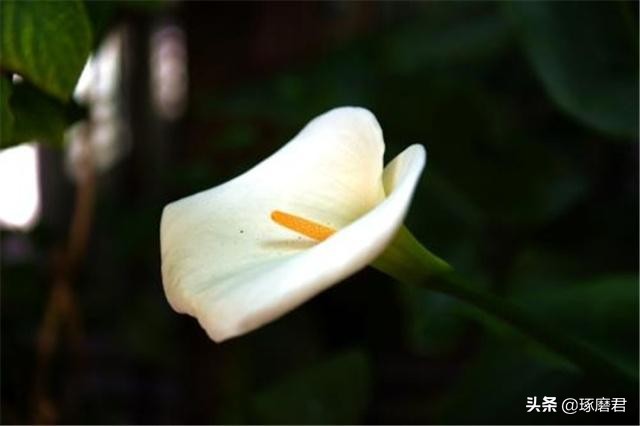 曾国藩七大箴言,曾国藩讲人生大智慧胜读十年书