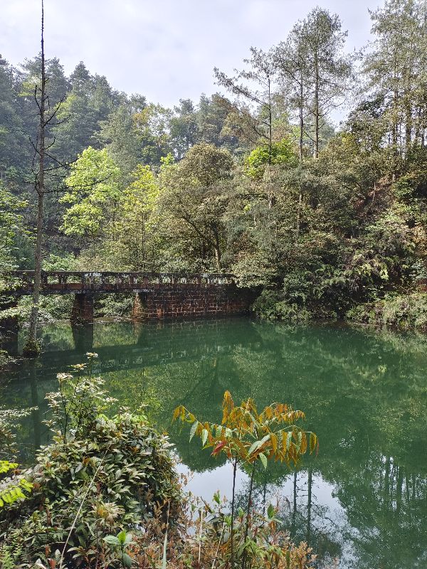 大型氧吧机,森林公园吸氧