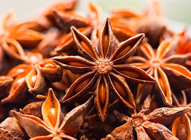 莽草和八角的区别,莽草和八角区别