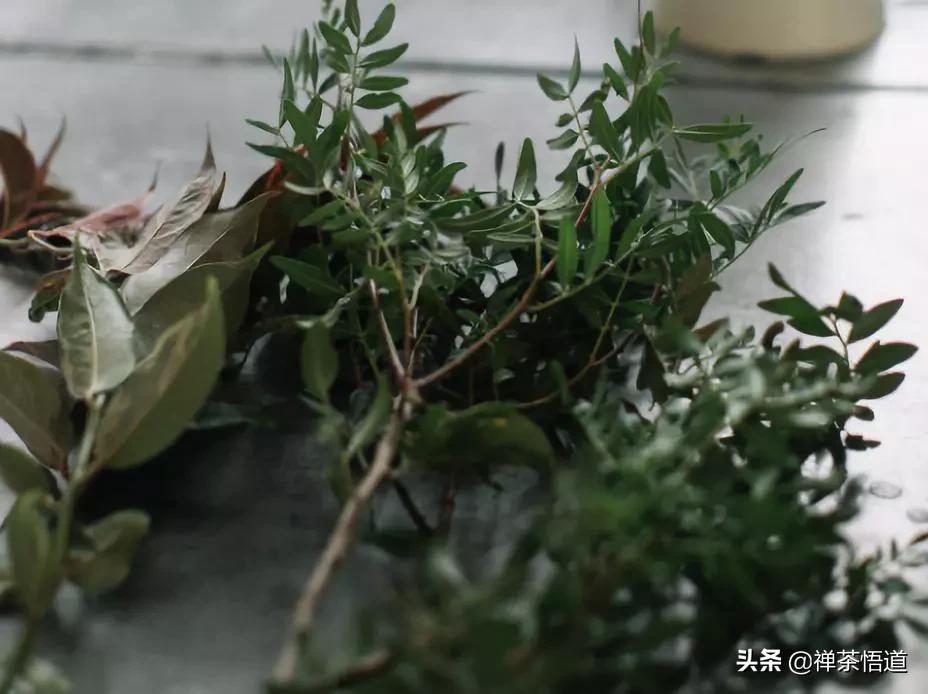 夫妻三观不合指哪三观,三观不合一般都是哪三观