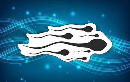 抗精子抗体asa阳性好不好治,抗精子抗体阳性是免疫性不育吗