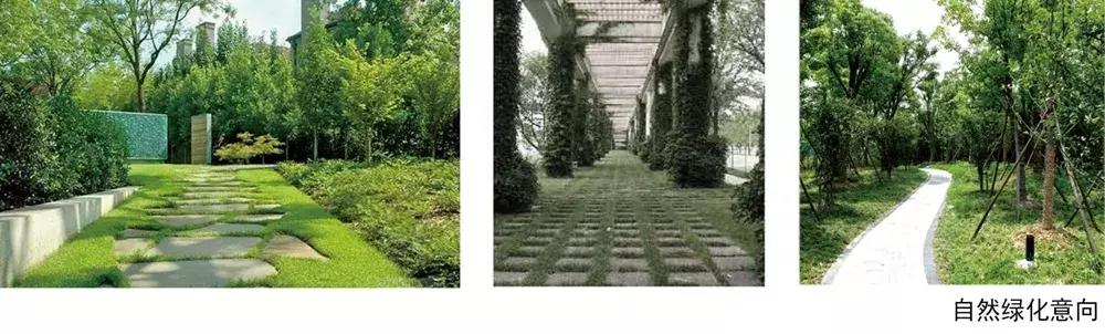 龙泉驿中医医院,龙泉驿中医院新院区现状