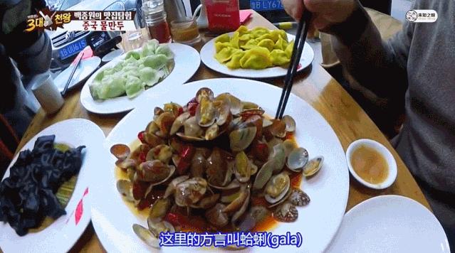 均温20℃的海滨老城，紫色泡桐花美得像国外，现在去性价比超高