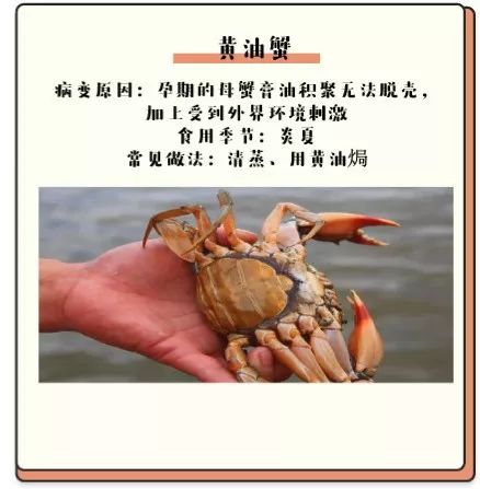 病入膏肓的吃货 (病入膏肓的美味)